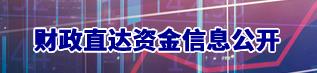 財(cái)政直達(dá)資金信息公開